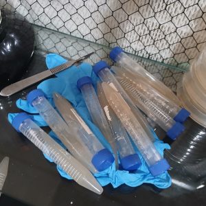 15ml Pre-poured Agar Slants (10pcs)